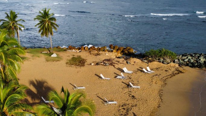 A serene beach with golden sand, palm trees, and white boats along the shoreline.
